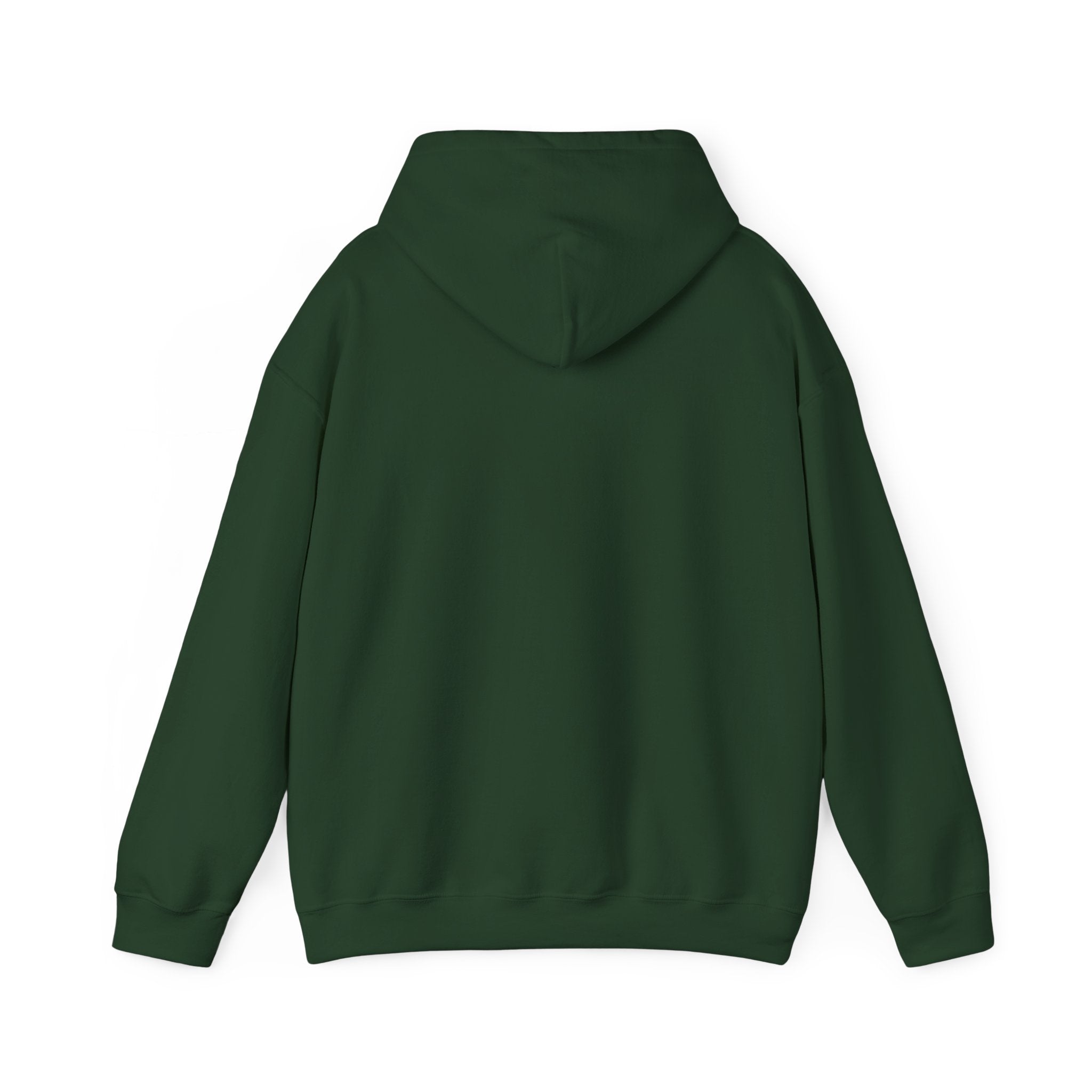 Rich AF University Hoodie – Funny College Style Graphic Sweatshirt