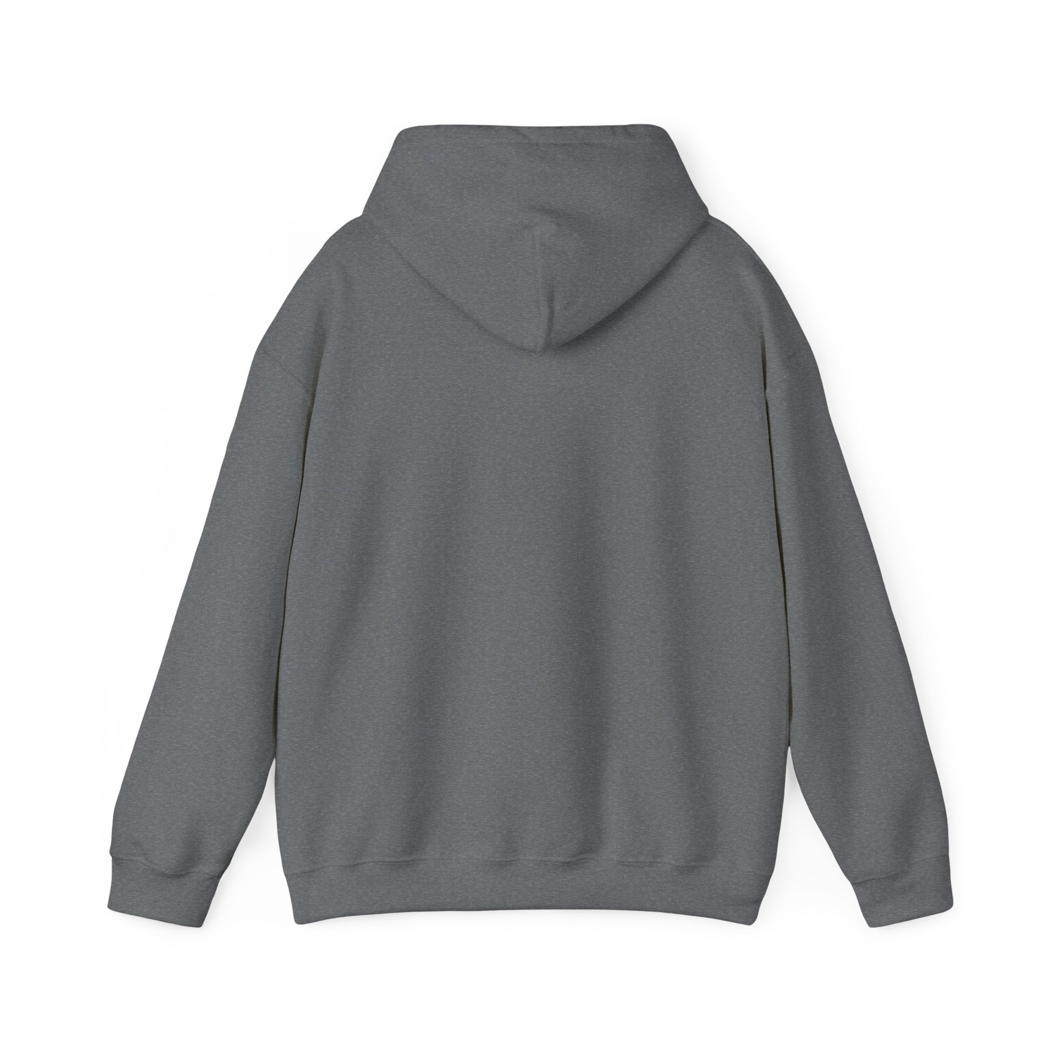 Rich AF University Hoodie – Funny College Style Graphic Sweatshirt