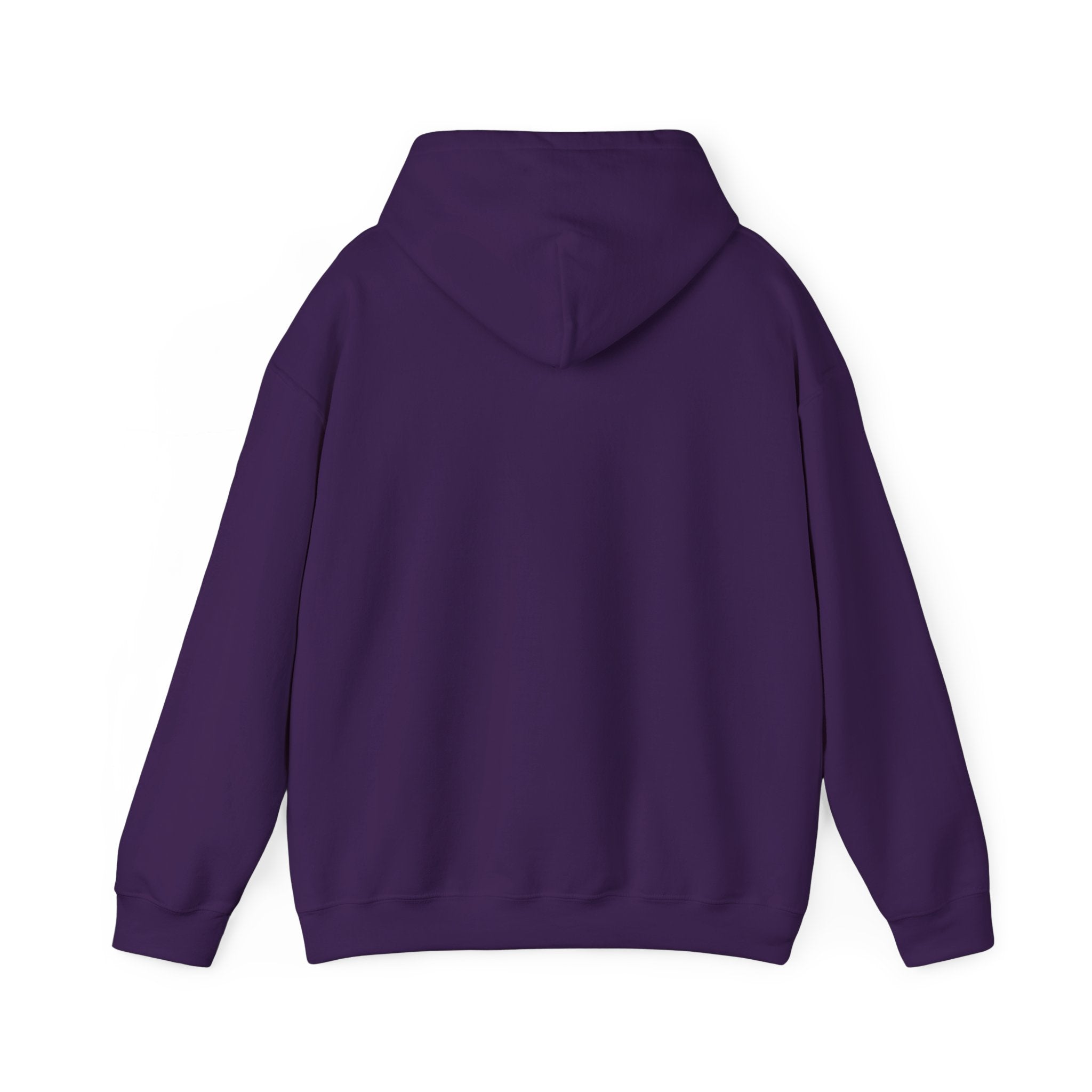 Rich AF University Hoodie – Funny College Style Graphic Sweatshirt