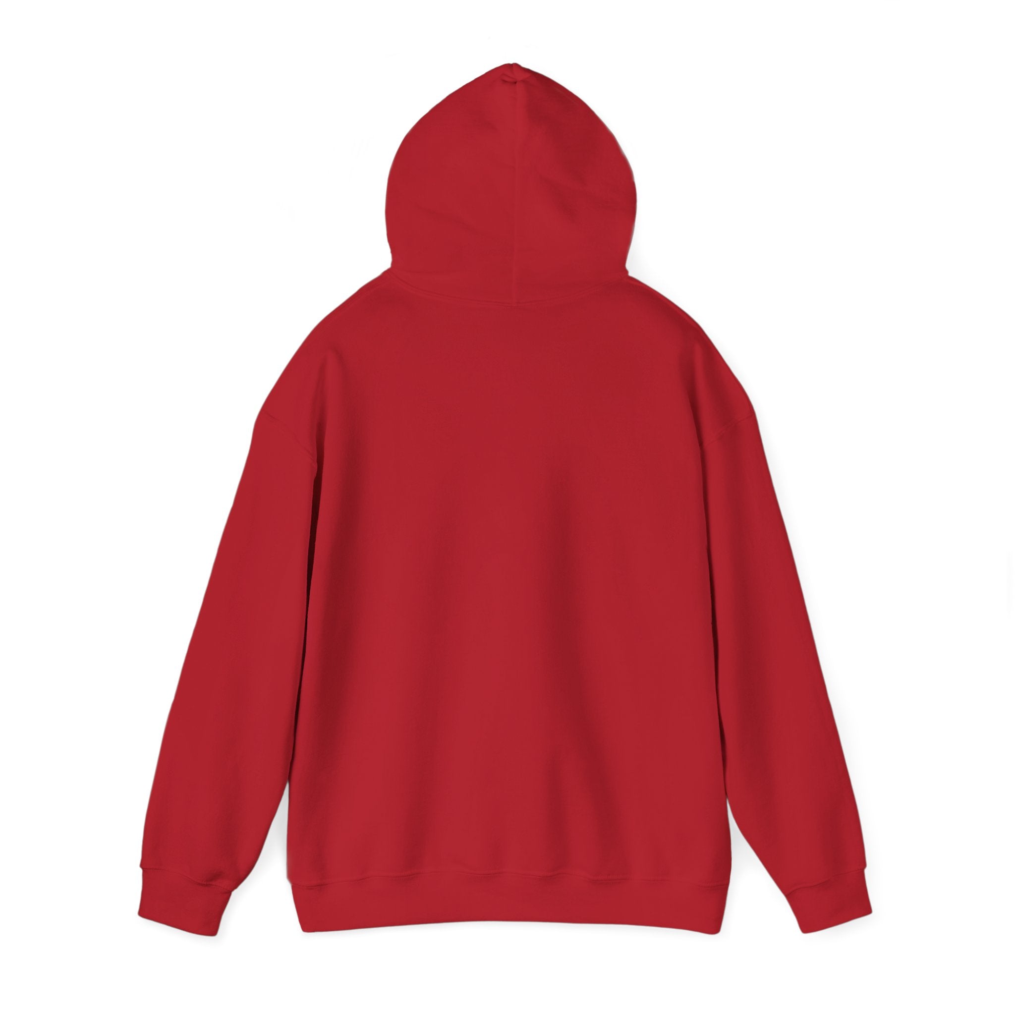 Rich AF University Hoodie – Funny College Style Graphic Sweatshirt
