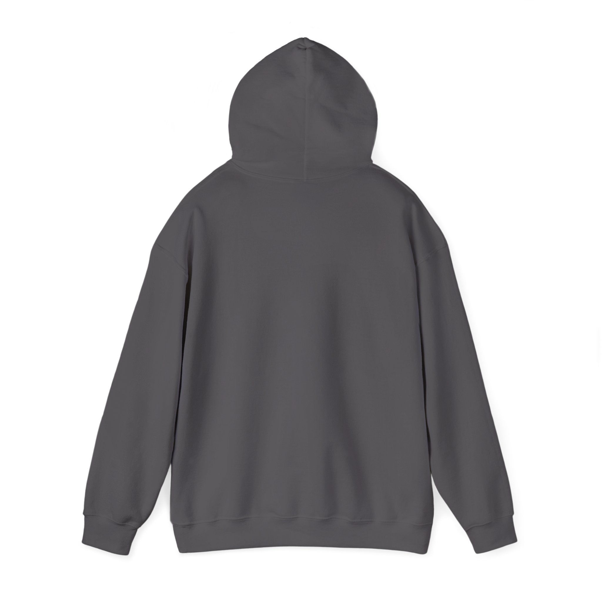 Rich AF University Hoodie – Funny College Style Graphic Sweatshirt