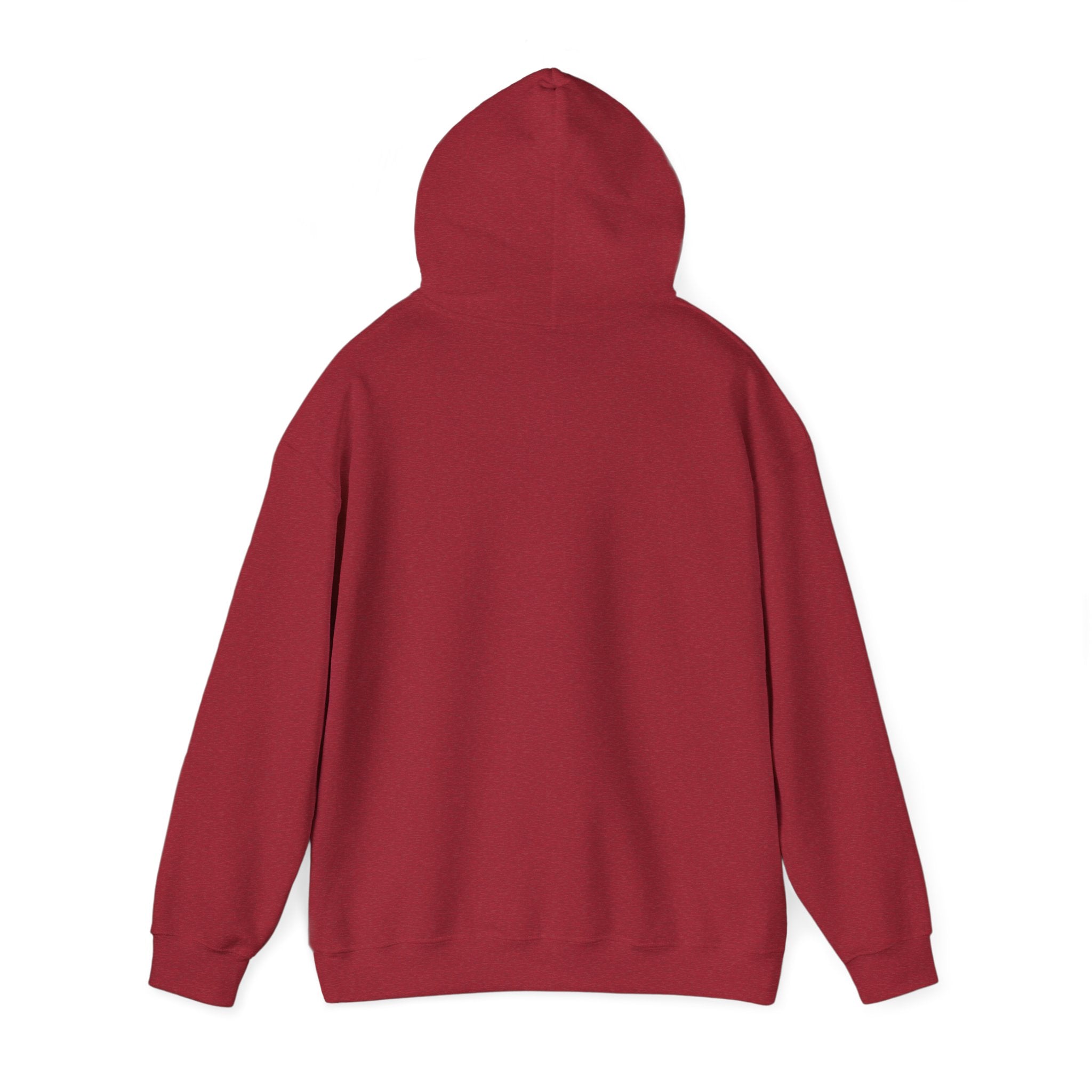 Rich AF University Hoodie – Funny College Style Graphic Sweatshirt