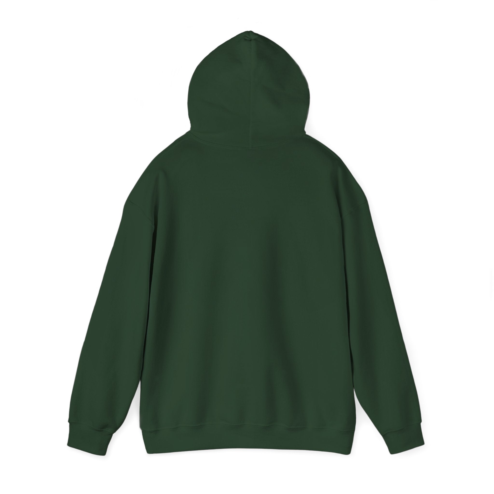 Rich AF University Hoodie – Funny College Style Graphic Sweatshirt