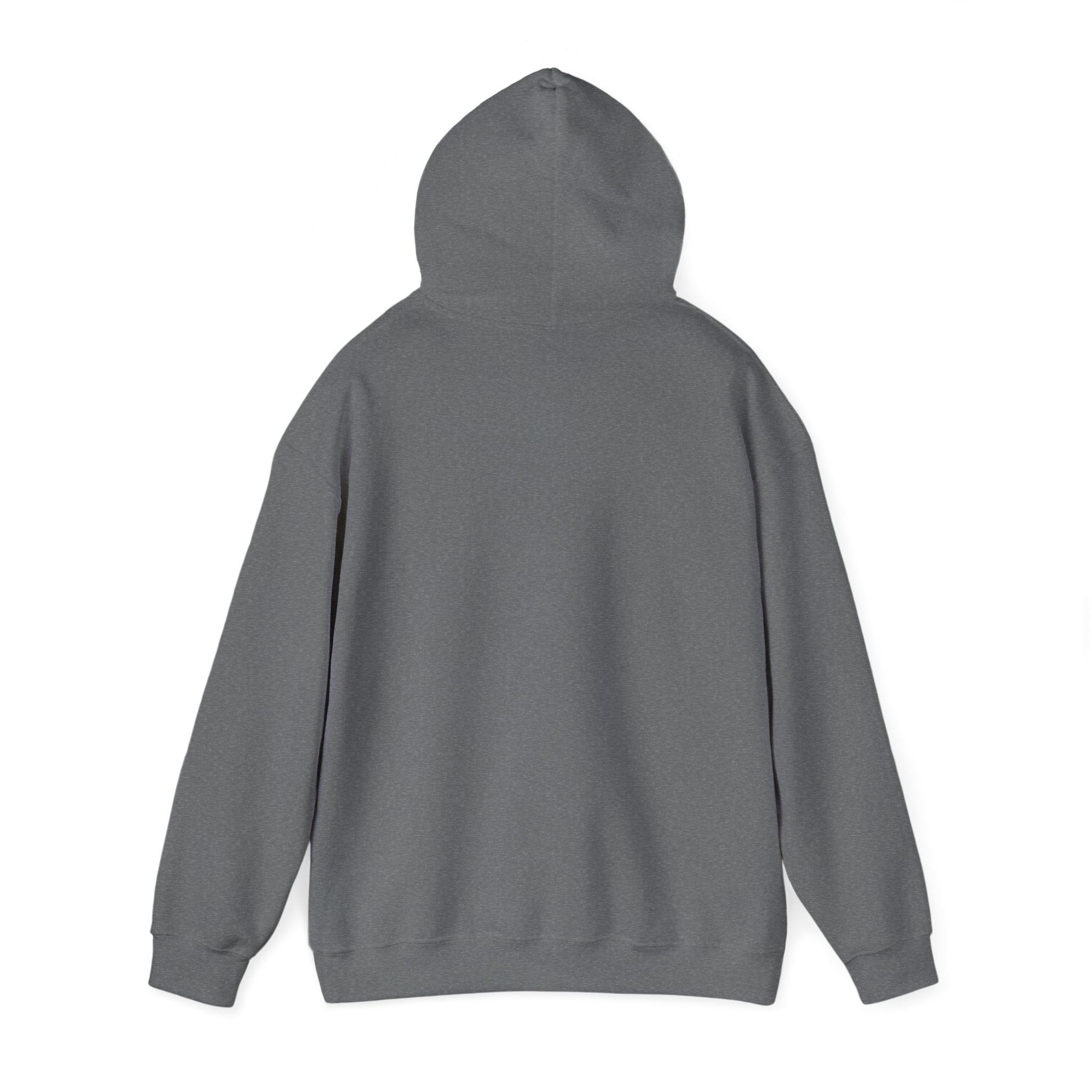 Rich AF University Hoodie – Funny College Style Graphic Sweatshirt