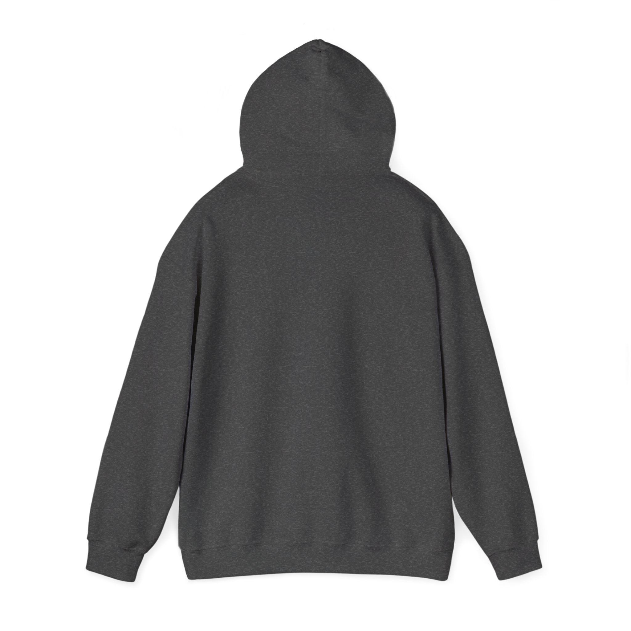 Rich AF University Hoodie – Funny College Style Graphic Sweatshirt