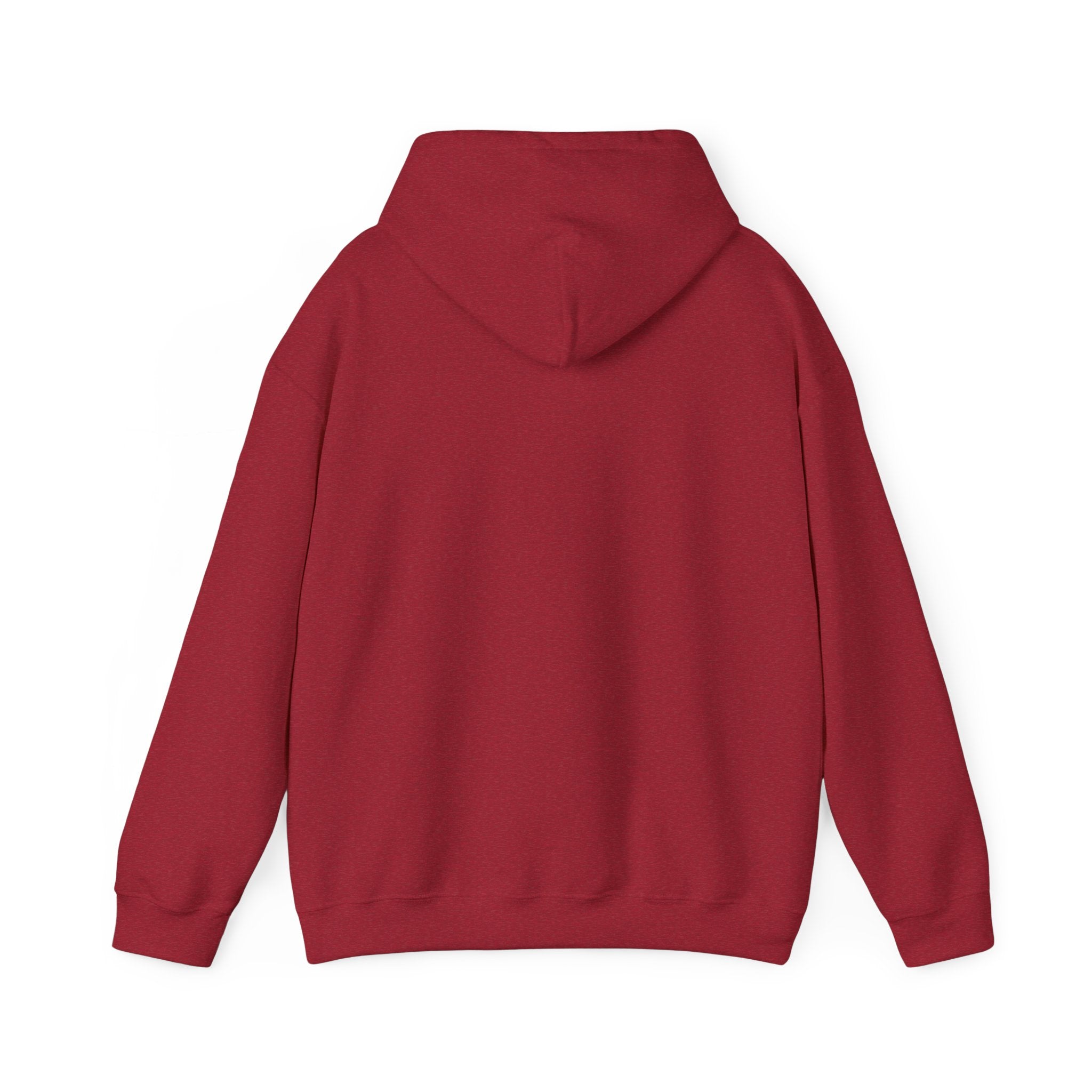 Rich AF University Hoodie – Funny College Style Graphic Sweatshirt