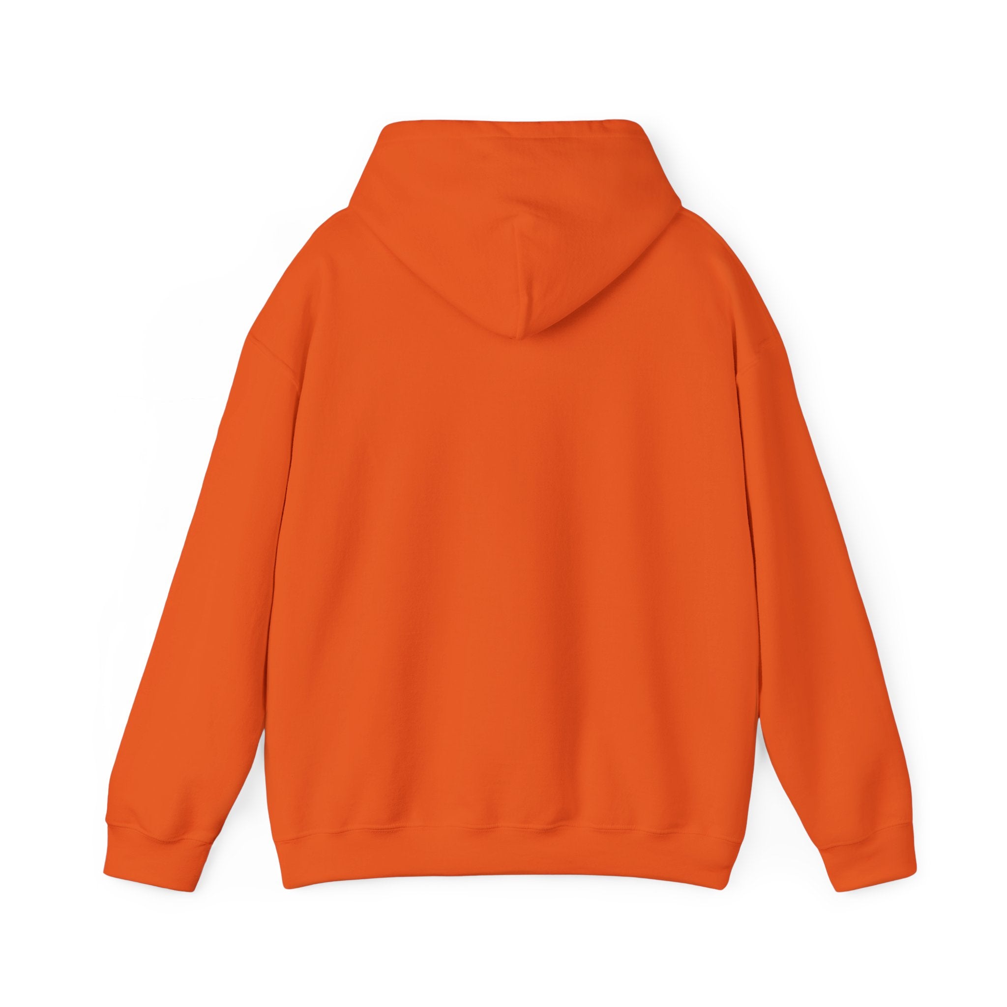 Rich AF University Hoodie – Funny College Style Graphic Sweatshirt