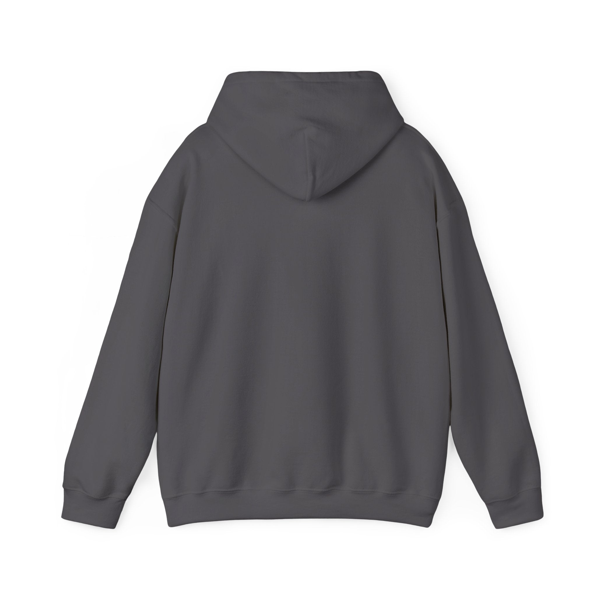 Rich AF University Hoodie – Funny College Style Graphic Sweatshirt